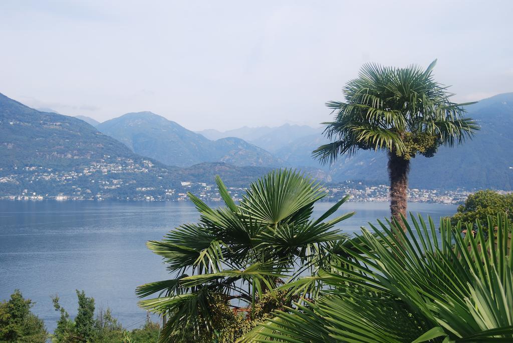 Grotto Bellavista Bed and Breakfast Sant'Abbondio Rum bild